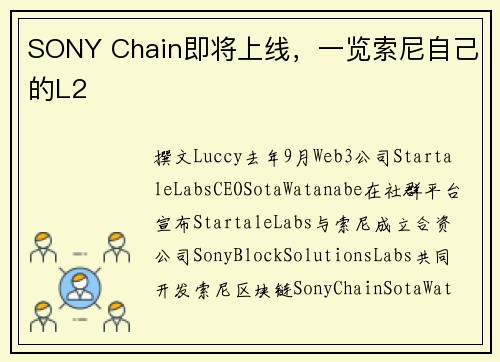 SONY Chain即将上线，一览索尼自己的L2