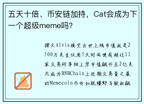 五天十倍、币安链加持，Cat会成为下一个超级meme吗？